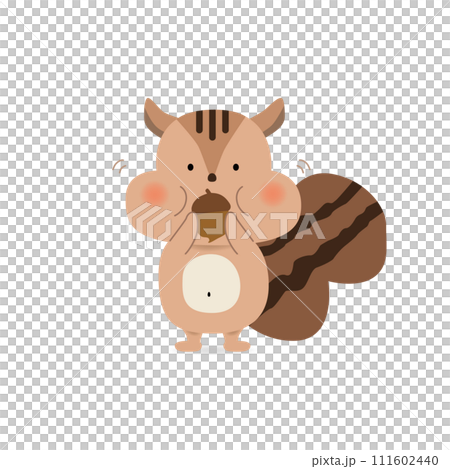 どんぐりを食べるリスのイラスト 111602440