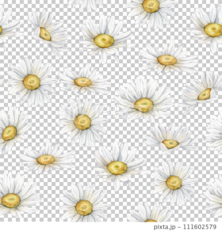 Seamless pattern Watercolor chamomile. Hand drawn illustration of daisy. White blossom flowers on isolated background. Drawing summer botanical for textile. Hand painted wildflowers. Seamless pattern Watercolor chamomile. Hand drawn illustration of daisy. White blossom flowers on isolated background. Drawing summer botanical for textile. Hand painted wildflowers. 111602579