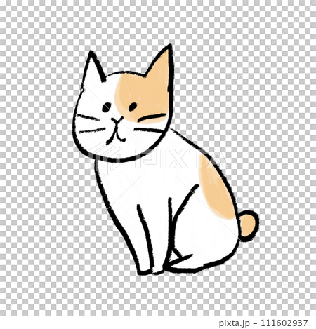 sitting cat 111602937