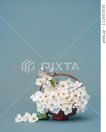 Spring cherry blossom, sakura flower blooming on springtime. banner for Spring or Summer sale. Spring cherry blossom, sakura flower blooming on springtime. banner for Spring or Summer sale. 111603035