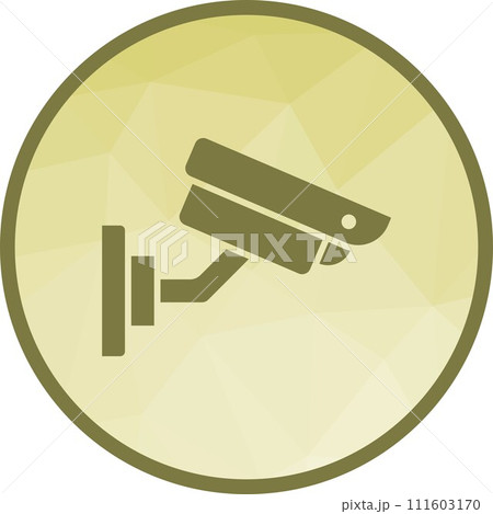 Security Camera icon vector image. Security Camera icon vector image. 111603170