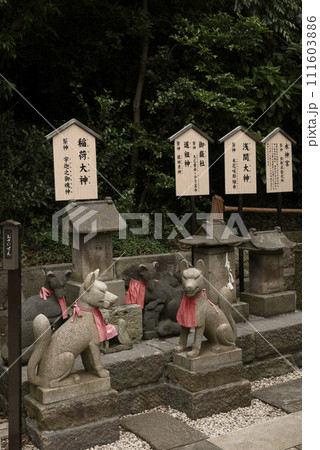 師岡熊野神社のお稲荷さん 師岡熊野神社のお稲荷さん 111603886
