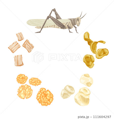 昆虫食スナックの手書き水彩風イラスト 昆虫食スナックの手書き水彩風イラスト 111604297