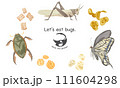 昆虫食スナックの手書き水彩風イラスト 111604298