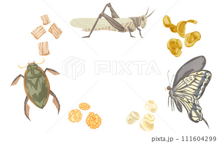 昆虫食スナックの手書き水彩風イラスト 昆虫食スナックの手書き水彩風イラスト 111604299