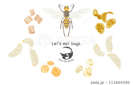 昆虫食スナックの手書き水彩風イラスト 111604300