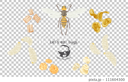 昆虫食スナックの手書き水彩風イラスト 111604300