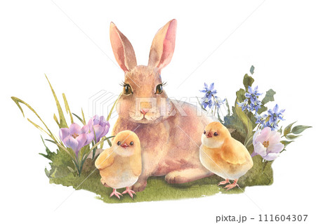Watercolor peach rabbit is sitting in the grass.. Easter bunny with bouquet flowers and yellow chicken. Template for designs , card, wallpaper. Watercolor peach rabbit is sitting in the grass.. Easter bunny with bouquet flowers and yellow chicken. Template for designs , card, wallpaper. 111604307