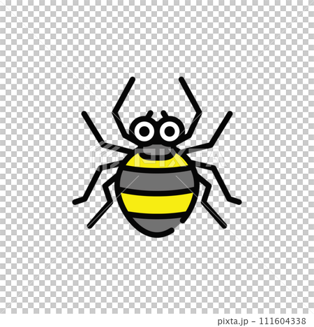 spider spider 111604338