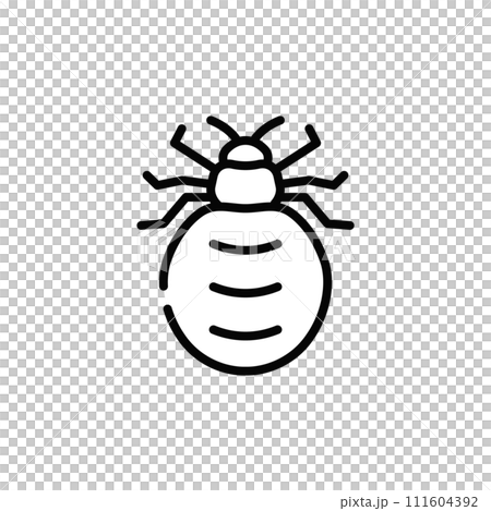 bed bugs 111604392