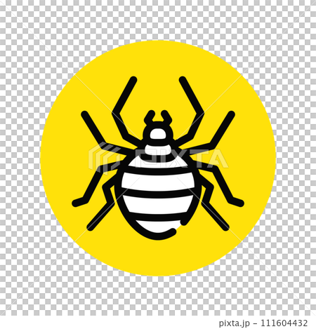 クモ　蜘蛛 111604432