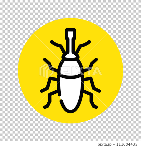 Rice weevil Rice insect Rice weevil Rice insect 111604435