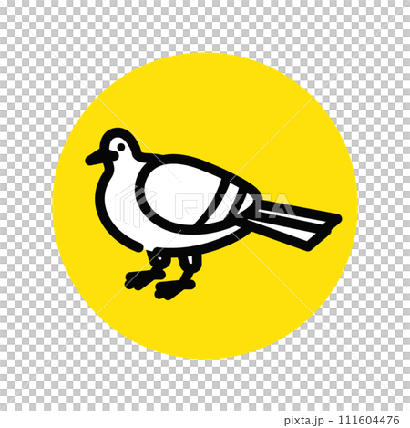 ハト　鳩　鳥 111604476