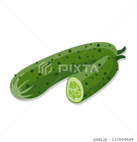 Vegetable organic green cucumbeer cartoon illustration 111604604