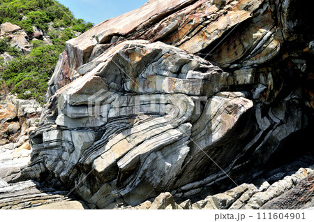 天鳥の褶曲(フェニックス褶曲) 【和歌山県すさみ町口和深】 天鳥の褶曲(フェニックス褶曲) 【和歌山県すさみ町口和深】 111604901