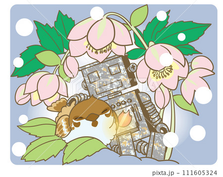 庭ロボットとすずちゃんとクリスマスローズ 111605324