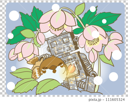 庭ロボットとすずちゃんとクリスマスローズ 111605324