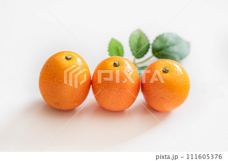 並んだ金柑 111605376