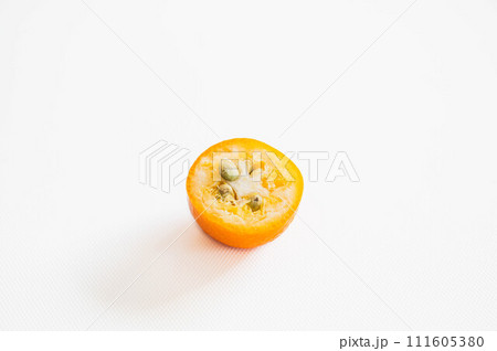 金柑の断面 111605380
