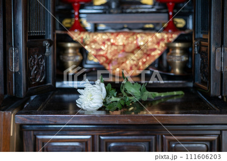 お仏壇の前に置いてある一凛の白い菊花 お仏壇の前に置いてある一凛の白い菊花 111606203