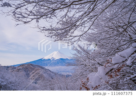 （山梨県）日本の冬景色・降雪後の御坂路から望む富士山 111607375