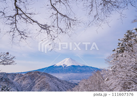 （山梨県）日本の冬景色・降雪後の御坂路から望む富士山 111607376