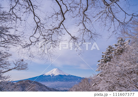 (山梨県)日本の冬景色・降雪後の御坂路から望む富士山 (山梨県)日本の冬景色・降雪後の御坂路から望む富士山 111607377