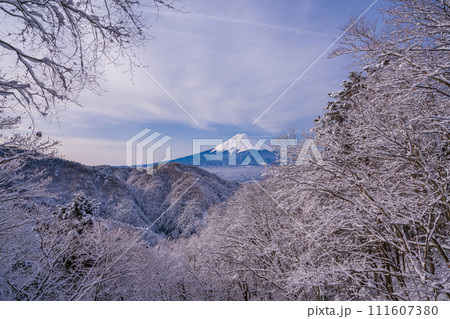 （山梨県）日本の冬景色・降雪後の御坂路から望む富士山 111607380