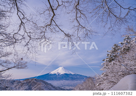 （山梨県）日本の冬景色・降雪後の御坂路から望む富士山 111607382