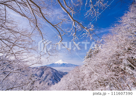（山梨県）日本の冬景色・降雪後の御坂路から望む富士山 111607390