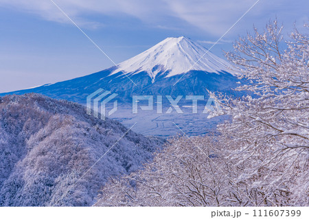 （山梨県）日本の冬景色・降雪後の御坂路から望む富士山 111607399