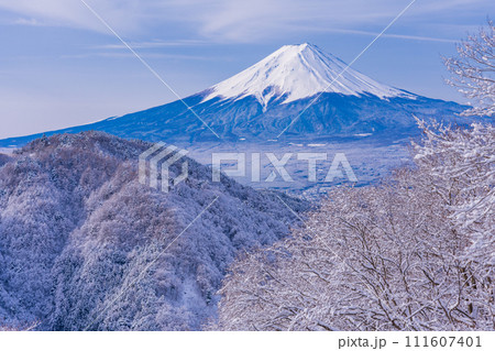 （山梨県）日本の冬景色・降雪後の御坂路から望む富士山 111607401