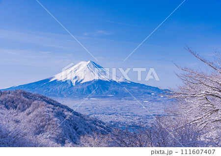 （山梨県）日本の冬景色・降雪後の御坂路から望む富士山 111607407