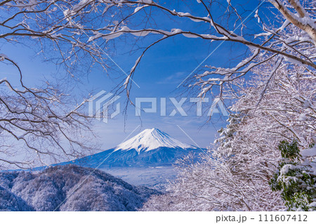 （山梨県）日本の冬景色・降雪後の御坂路から望む富士山 111607412