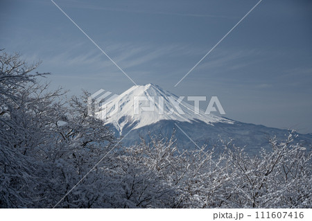 （山梨県）日本の冬景色・降雪後の御坂路から望む富士山 111607416