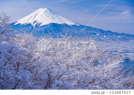 （山梨県）日本の冬景色・降雪後の御坂路から望む富士山 111607417
