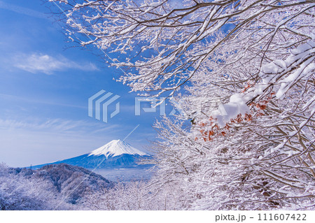 （山梨県）日本の冬景色・降雪後の御坂路から望む富士山 111607422