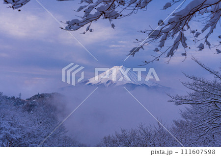 （山梨県）日本の冬景色・降雪し雲間から顔を出した富士山 111607598