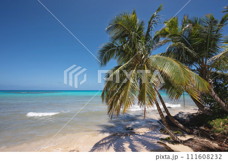 Blue sea tropical background 111608232