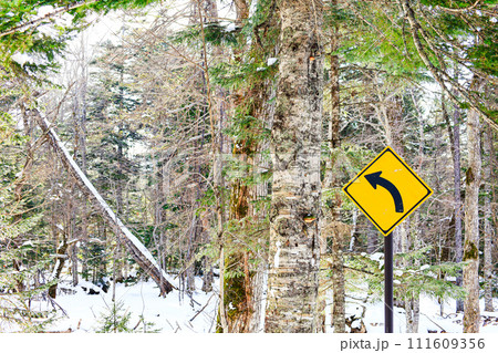 森の中の道しるべ 森の中の道しるべ 111609356