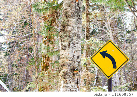 森の中の道しるべ 森の中の道しるべ 111609357