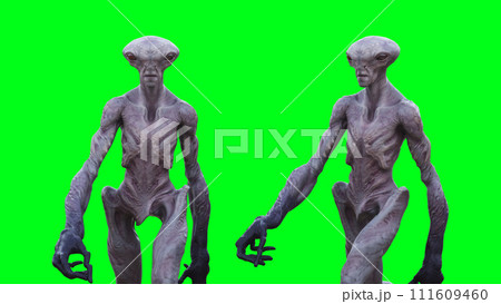 Scary Alien green screen isolate. 3d rendering. Scary Alien green screen isolate. 3d rendering. 111609460