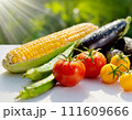新鮮な採れたて夏野菜(AI生成素材) 111609666