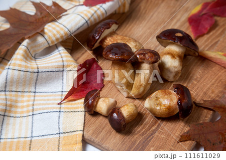 Several Imleria Badia or Boletus badius mushrooms commonly known as the bay bolete on wooden cutting board.. 111611029