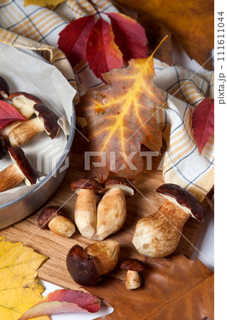 Several Imleria Badia or Boletus badius mushrooms commonly known as the bay bolete, vintage baking sheet with mushrooms on wooden cutting board.. 111611044