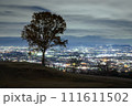 奈良の大夜景 111611502