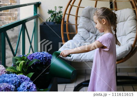 A girl watering hydrangeas on the balcony A girl watering hydrangeas on the balcony 111611615