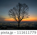 冬の夕暮れの空と木のシルエットと街並み 111611779