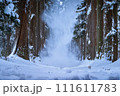 雪に包まれる戸隠の参道 111611783