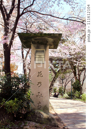 宝塚歌劇と花のみち 宝塚歌劇と花のみち 111612104